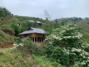 ein Haus auf einem Hügel mit einem blühenden Baum in der Unterkunft Nậm Lỳ Retreat- Breakfast included in Ha Giang