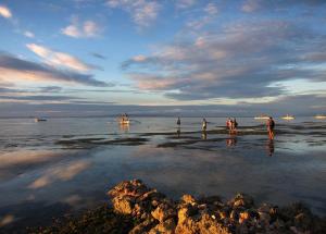 邦勞的住宿－邦勞島水藍度假村，一群人站在海滩上的水面上