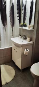 a bathroom with a sink and feathers on the wall at Focus Lux in Miercurea-Ciuc +19 photos