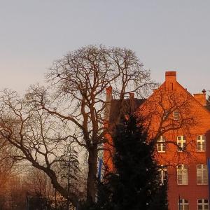Fotografie z fotogalerie ubytování Apartament Toruń Dreams v destinaci Toruň + 11 fotografií