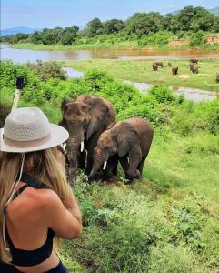 a woman in a hat looking at a herd of elephants at Rio Vista Lodge in Malelane