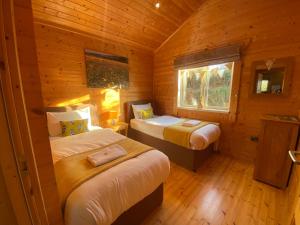 En eller flere senge i et værelse på Hollybush Lodges
