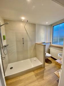 a bathroom with a shower and a toilet at Landidyll Hotel Klostermühle in Münchweiler an der Alsenz