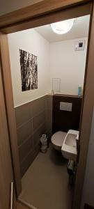 Kúpeľňa v ubytovaní Apartman Lake + 16 fotografií