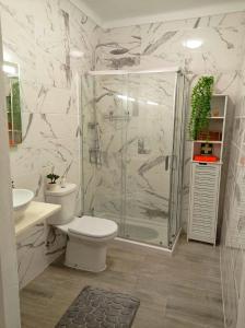 a bathroom with a shower and a toilet and a sink at Casa Solua in Reguengos de Monsaraz