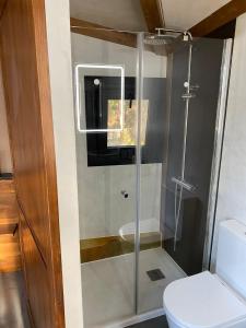 uma cabina de duche em vidro numa casa de banho com WC em Casita colgada "Can Lia" em La Guancha