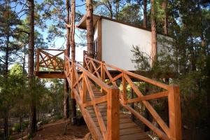a tree house in a forest with a wooden staircase at Casita colgada "Can Lia" in La Guancha