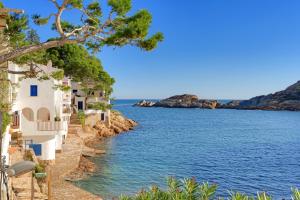 a view of the ocean and houses on the shore at VISTA MAR - MEGIN in Tamariu