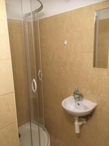 y baño con lavabo y ducha. en Korzó Apartments en Dunajská Streda