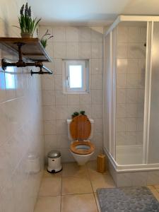 a bathroom with a toilet with a wooden seat and a shower at Haut de Cry in Conthey