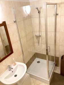 La salle de bains est pourvue d'une douche et d'un lavabo. dans l'établissement City Center Apartman Miskolc, à Miskolc