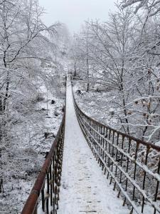 uma ponte de madeira coberta de neve com árvores em Ferienwohnung Bienengarten em Bingen am Rhein