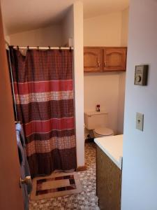 a bathroom with a shower curtain and a toilet at Cable Townhome #3 condo in Cable