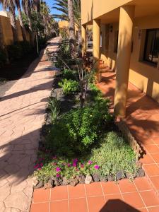 Zdjęcie z galerii obiektu Casa Molly w Corralejo