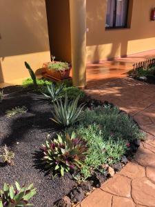Zdjęcie z galerii obiektu Casa Molly w Corralejo