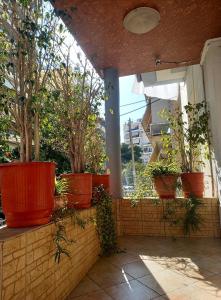 a group of potted plants sitting on a brick wall at Hotel Korydallos in Piraeus