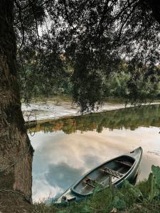 un barco sentado en el agua junto a un árbol en Vintage tent at the Lovsin Estate en Metlika