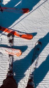 a person standing in the snow with skis in the snow at Casadolcino in Campodolcino