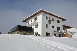 Appartement Wieshof during the winter
