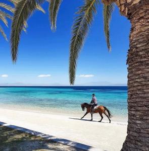 uma pessoa a montar um cavalo na praia em Casa Blu oltremare em SantʼAntìoco
