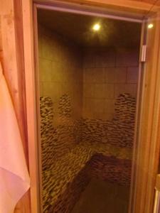 W łazience znajduje się prysznic ze szklanymi drzwiami. w obiekcie Apart'hotel & Spa "La Destière" w mieście La Giettaz