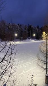 een groot besneeuwd veld 's nachts met verlichting bij 11 RESIDENCE APARTMENT in Cavnic
