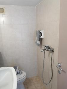 La salle de bains est pourvue d'une douche, de toilettes et d'un lavabo. dans l'établissement Rania House, à Neos Marmaras
