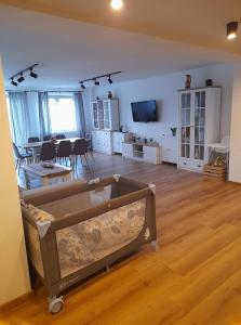Fotografie z fotogalerie ubytování Apartament u Antosia Szczawnica v destinaci Szczawnica + 27 fotografií