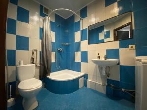 een blauwe en witte badkamer met een toilet en een wastafel bij ART apartment in Zhytomyr