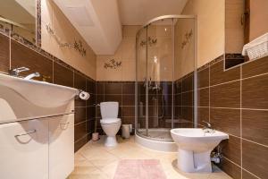 a bathroom with a shower and a toilet and a sink at Kozie Ranczo Domek Bacy in Bańska Niżna +41 photos
