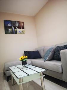 Fotografie z fotogalerie ubytování pié de la montaña v destinaci Bonao + 32 fotografií