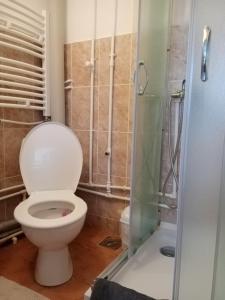 Bilik mandi di std- Na lepom plavom Dunavu