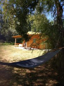 un hamac suspendu à un arbre devant une cabine dans l'établissement Eco Cabaña Rural, à La Consulta