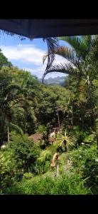 uma vista para uma selva com um dinossauro na relva em Monte Carmelo Inn Sana em Macaé