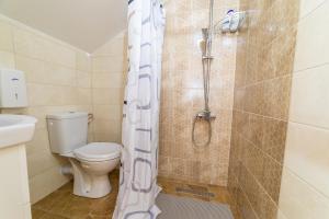 uma casa de banho com um chuveiro e um WC. em Seosko domaćinstvo Kastratović em Berane