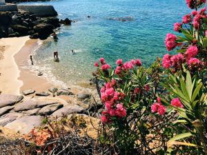 a beach with people in the water and pink flowers at Moon's Tower suite&rooms in Portoscuso