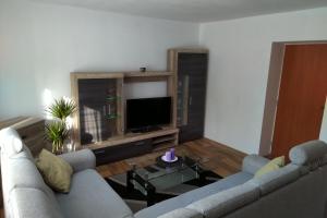 a living room with a couch and a tv at Apartmán Pod Říčkami in Rokytnice v Orlických Horách