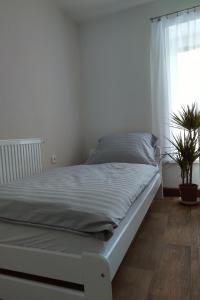 Fotografie z fotogalerie ubytování Apartmán Pod Říčkami v Rokytnici v Orlických Horách
