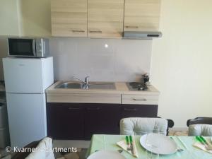 Kuchyň nebo kuchyňský kout v ubytování Kvarner Apartments II - Mošćenička Draga