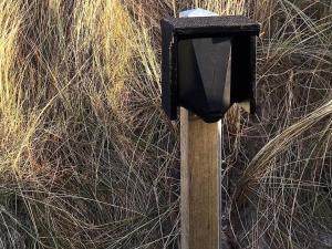 a black mailbox on a pole in front of tall grass at 6 person holiday home in Hvide Sande in Hvide Sande