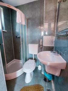 Phòng tắm tại Floare de Colt Petrosani