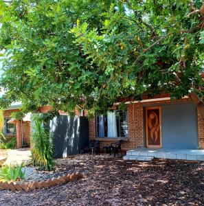 a house with a tree in front of it at Ambiente Budget Accommodation in Upington