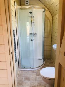 a bathroom with a shower and a toilet at Rural self contained cosy pod house. in Garway