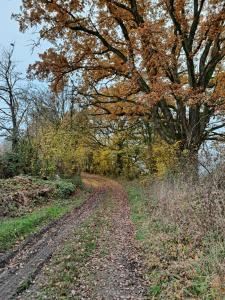 Foto dalla galleria di GITE Les Aubues a Lormes