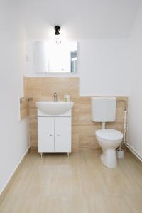 a bathroom with a sink and a toilet at Casa dintre Brazi Hunedoara in Hunedoara