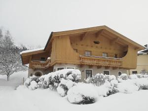 ein schneebedecktes Haus mit Büschen in der Unterkunft Apartment Eva in Sonnberg