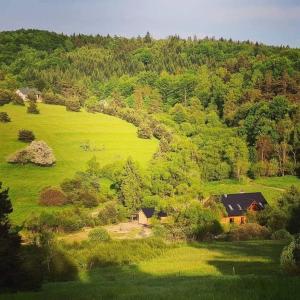 Wilcza Dolina في Sękowa: منزل في وسط حقل أخضر