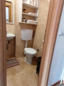 a small bathroom with a toilet and a sink at Studio Apartman ZENICA in Zenica