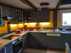 una cocina con armarios grises y fregadero en Ferienhaus Gero, en Gernrode - Harz