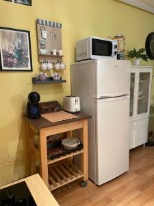 eine Küche mit einem Kühlschrank und einer Mikrowelle darüber in der Unterkunft SUITE VINTAGE LEON in León